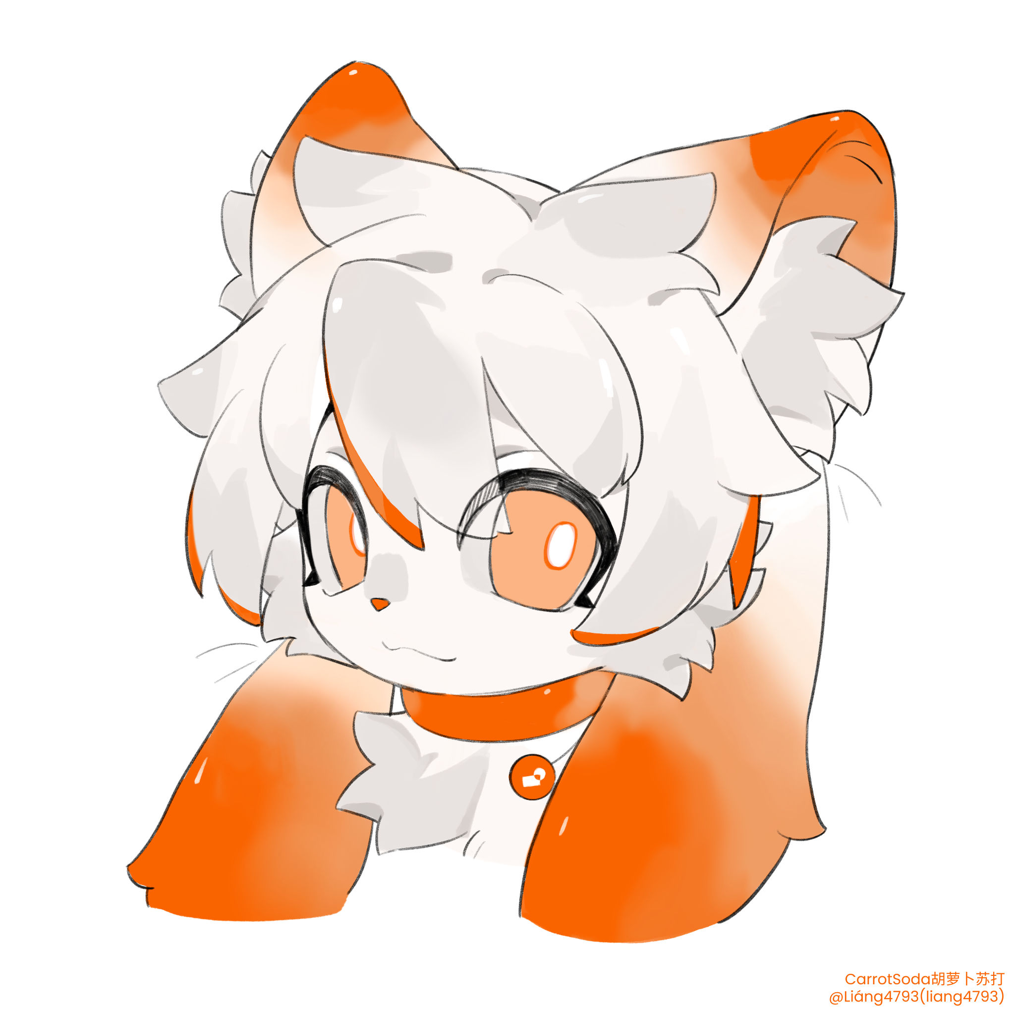 illustration15