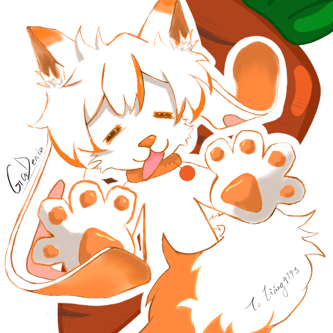 illustration7